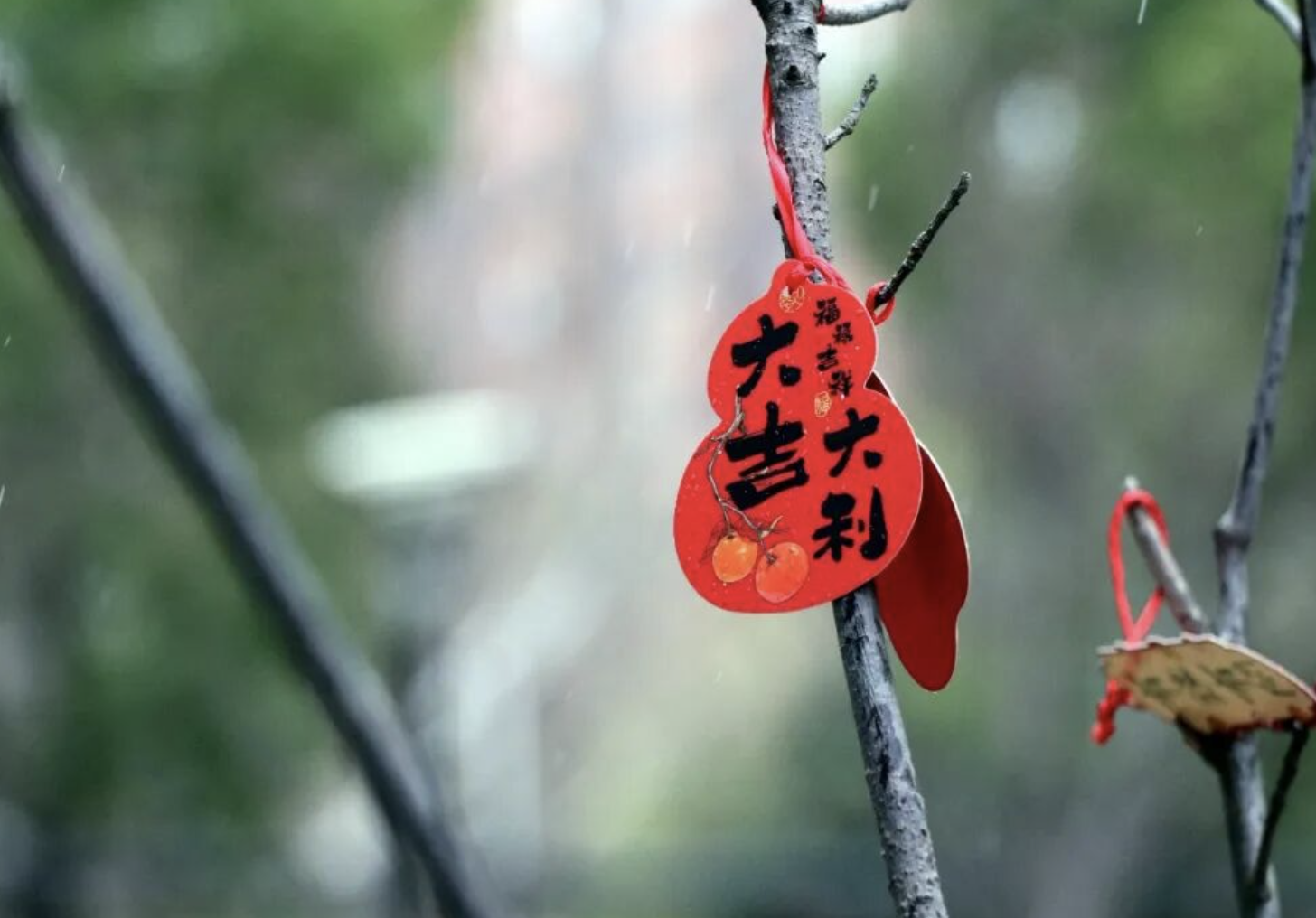 1775727739837527.png Screenshot 2026-04-09 at 17.42.15.png